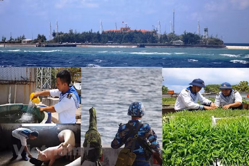 Truong Sa ya no son islas rocosas que sufren el clima inclemente en medio del mar. Ahora se encuentra el verde en todos los rincones del archipiélago. (Fuente: VietnamPlus) 