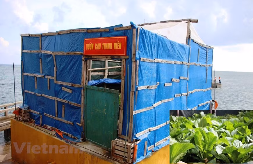 El verde de vida, energía y esperanza cubre las islas de Truong Sa. (Fuente: VietnamPlus)(Fuente: VietnamPlus)