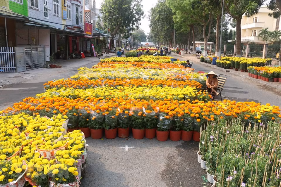 El distrito Tan Quy Dong y la comuna Tan Khanh Dong de la ciudad sureña de Sa Dec cuentan con más de dos mil floricultores. (Fuente: VNA)