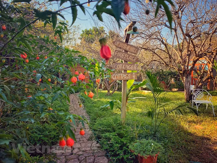 Aunque la pandemia no se ha controlado por completo, el homestay Mama´s house casi siempre está llena los fines de semana en los meses finales del año. La escena romántica del alojamiento lo hace un destino favorito de los jóvenes. El precio de una habitación oscila entre 600 mil dongs y más de un millón de dongs (entre 26 dólares y 43,47 dólares) dependiendo de qué tipo de habitación, los días de semana o los fines de semana. El homestay también ofrece servicios de casa de pilotes para grupos de personas. Cada rincón del alojamiento Mama´s house está lleno de flores y sol. (Fuente: Vietnamplus)