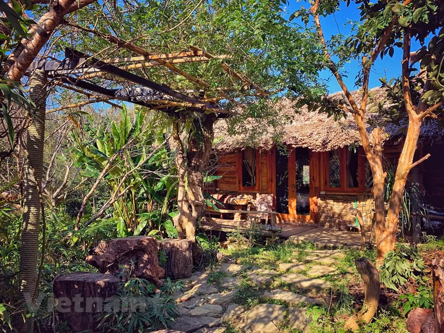 El homestay A Chu en la comuna de Van Ho, distrito de Moc Chau es una dirección muy popular de los turistas extranjeros cuando no se registró la pandemia de la COVID-19. El alojamiento tiene una arquitectura y un diseño equivalente a un resort de clase alta. Aquí se utilizan materiales ecológicos y la mayoría de los objetos están asociados con la cultura local. Aunque está diseñada de forma rústica, es extremadamente detallada y cómoda. Las huellas de la cultura local están inteligentemente “instaladas” en los detalles de decoración de la habitación. Moc Chau es un distrito rural de la provincia de Son La en la región noroeste de Vietnam, a 200 kilómetros de la capital Hanoi. (Fuente: Vietnamplus) 
