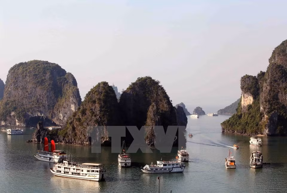 La Bahía Ha Long cubre una superficie de 1553 kilómetros cuadrados con mil 969 islotes de diferentes tamaños, de ellos 980 aún sin nombres. (Fuente: Quang Quyet/VNA)