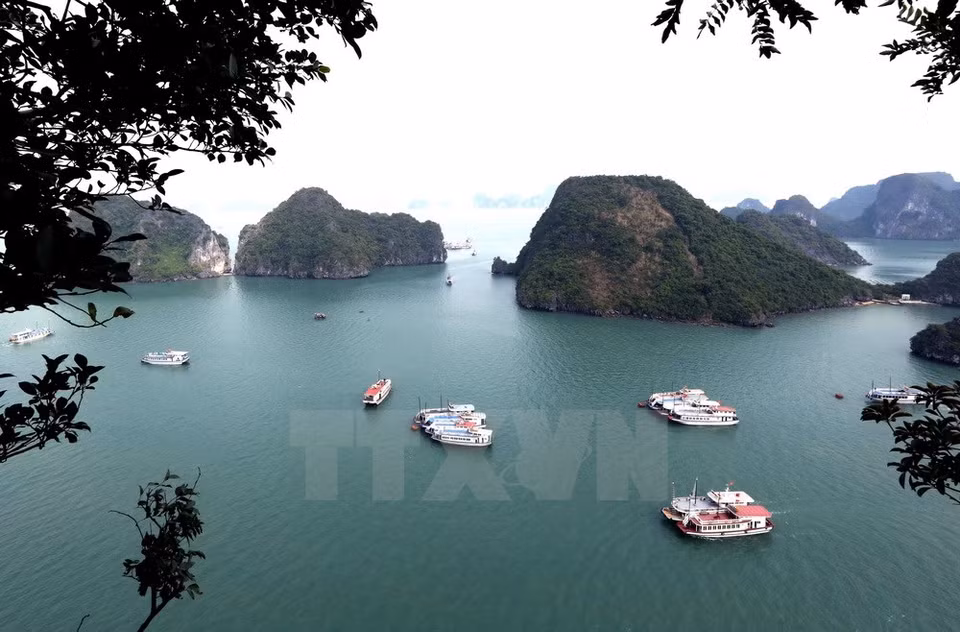 La zona de la Bahía Ha Long declarada por la UNESCO como Patrimonio Natural Mundial, que tiene una extensión de 434 kilómetros cuadrados con 775 islas, tiene forma de un triángulo cuyos vértices son el islote de Dau Go en el oeste, el lago de Ba Ham en el sur y la isla de Cong Tay en el este. (Fuente: Quang Quyet/VNA)