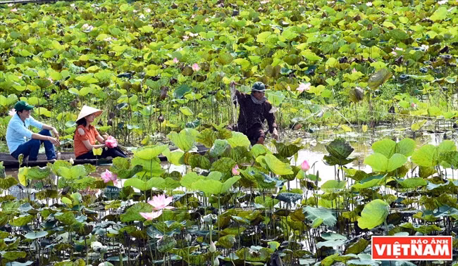 Los turistas pueden ver a locales pescando según el estilo tradicional (Fuente: VNA)