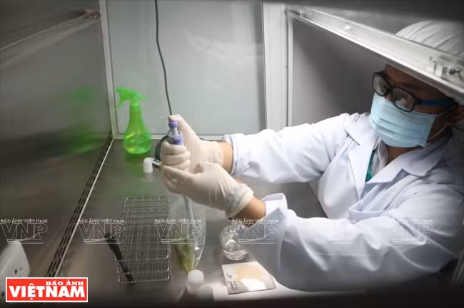 Un ingeniero encargado de la inspección de bacterias en los productos (Fuente: VNA)