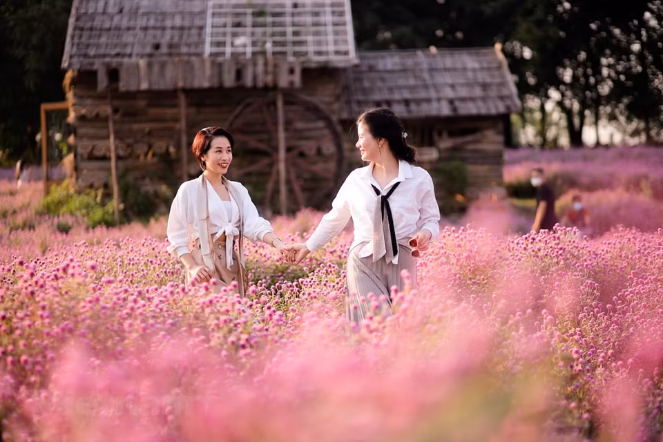 Por lo tanto, son muy populares para seleccionarlas como flores secas. Nguyen Van Chi, jefe de la División de Desarrollo Rural de Hanoi, informó que bajo el programa de la ciudad para aumentar la efectividad del programa de construcción de áreas rurales de nuevo estilo y la reestructuración agrícola en el período 2021-2025, se espera que las áreas totales para flores y plantas ornamentales aumenten aumentar de ocho mil 500 a nueve mil hectáreas. La ciudad también planeó plantar más árboles a lo largo de las calles y carreteras para garantizar entre 8 y 10 metros cuadrados de espacio verde para cada persona. Van Chi también dijo que las aldeas donde se cultivan flores y plantas ornamentales también ofrecerán experiencias de turismo agrícola (Fuente: Vietnam+)