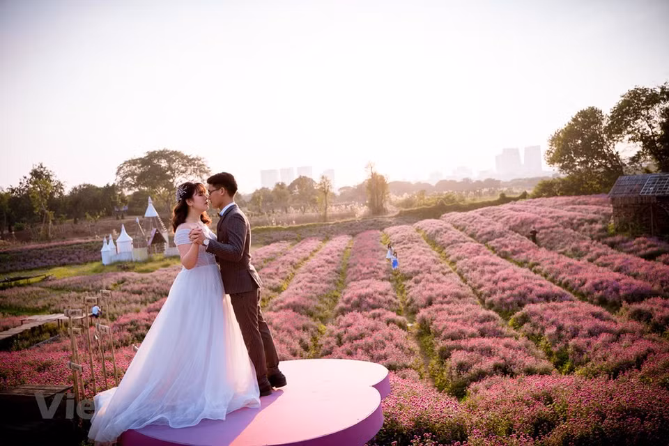 Por lo tanto, Gomphrena globosa se utiliza para hacer flores de boda. Me Linh fue el área residencial de los generales durante la era del Rey Hung en la historia temprana. La tierra fértil solía ser un centro de intercambio económico y cultural entre las áreas montañosas, medias y vecinas de la ciudadela de Thang Long. Al igual que otros lugares históricos del país, el distrito de Me Linh ahora alberga varios sitios históricos, incluidas casas comunales, templos y sitios arqueológicos. El sitio arqueológico de Thanh Den en la comuna de Tu Lap se descubrió por primera vez en 1970. Entre los objetos desenterrados se encontraban objetos de piedra, bronce y cerámica, incluidos muchos moldes de bronce (Fuente: Vietnam+)