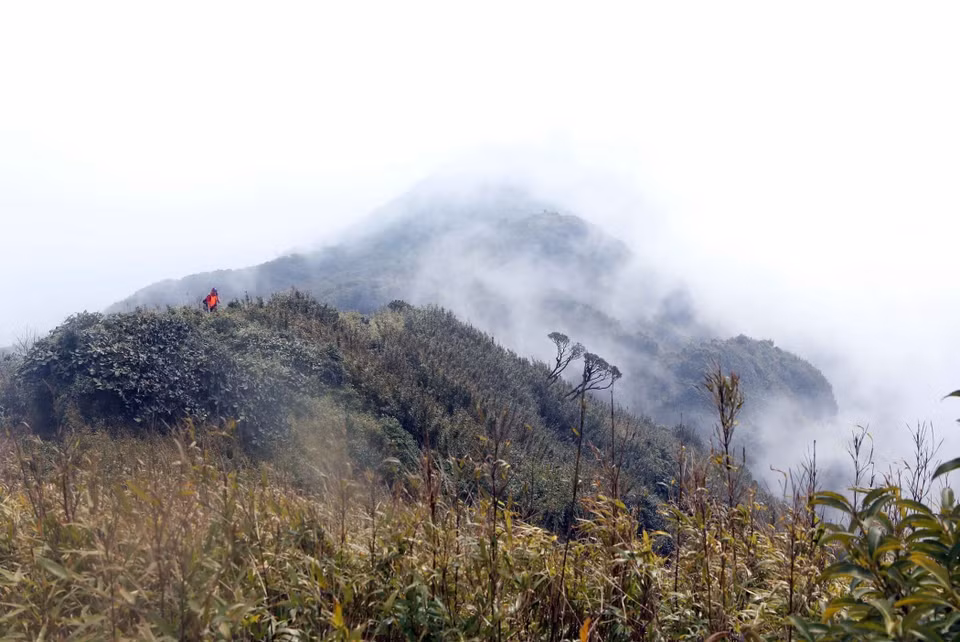A una altitud de más de tres mil metros, la cordillera de Bach Moc Luong Tu a menudo está cubierta por nubes, creando una escena misteriosa y fantasiosa (Fuente: VNA)