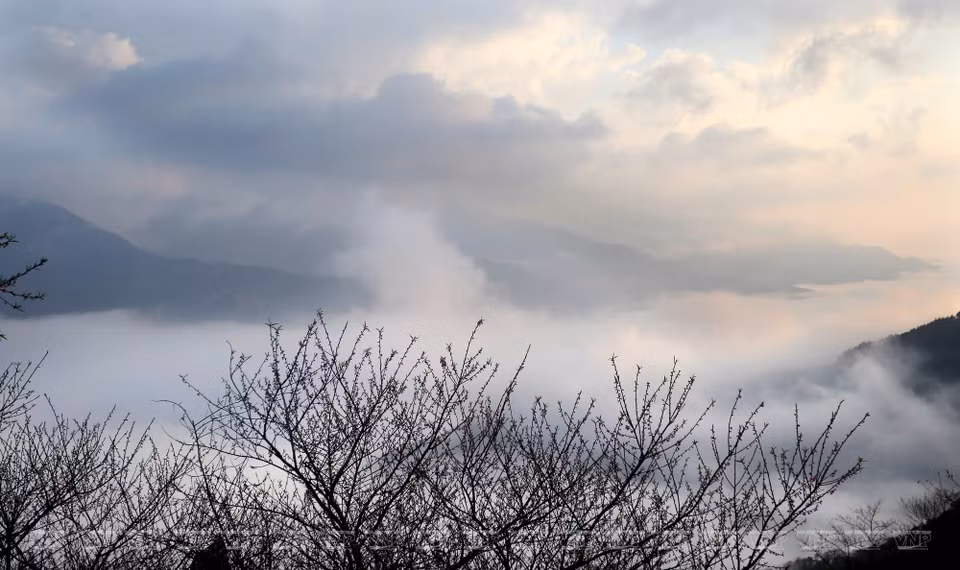 Valle nuboso de Ta Xua en amanecer (Fuente: VNA)