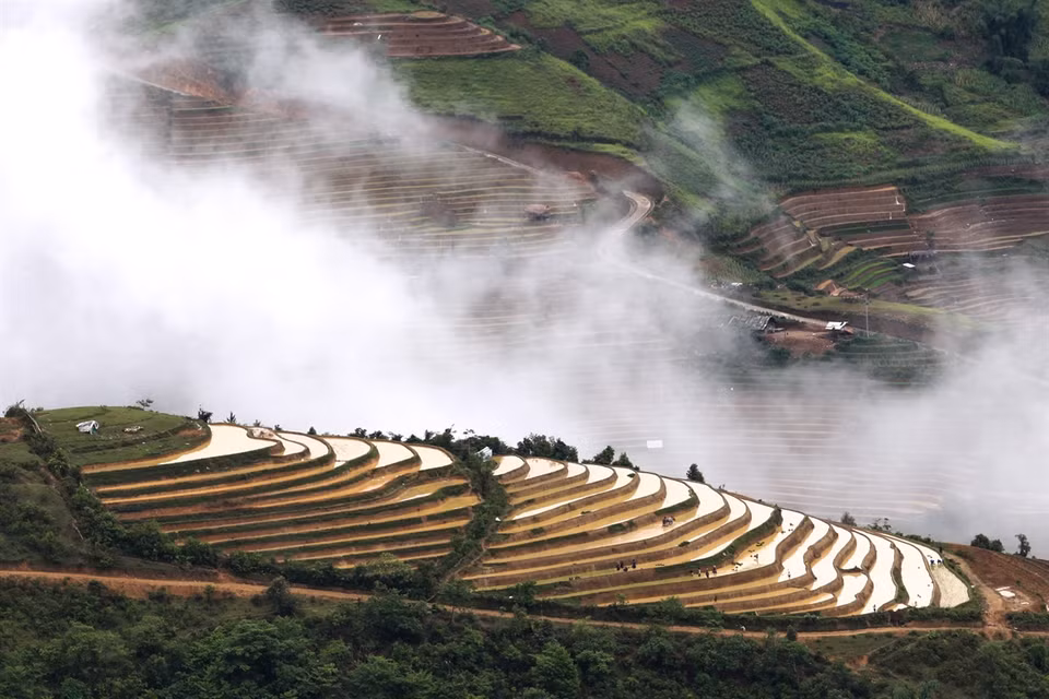 Los grupos étnicos minoritarios Mong en la aldea de Lim Mong de la comuna de Cao Pha rastrillan tierra en las terrazas arroceras en medio de un paisaje nublado y lleno de humo (Fuente: Revista Ilustrada de Vietnam)