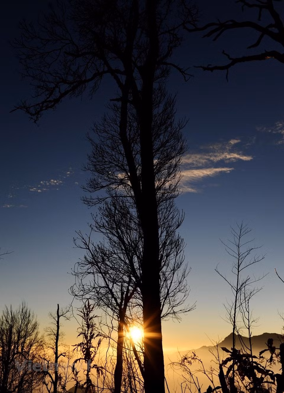 La puesta de sol baña con su luz las carreteras montañosas en la meseta de Moc Chau de la provincia norteña de Son La. Este lugar posee una vista muy hermosa con altas montañas, valles nublados durante todo el año y campos de arroz en terrazas intercalados. La meseta de Moc Chau en los distritos de Van Ho y Moc Chau es una tierra de frutas y flores en todas las estaciones del año y es considerada la "Da Lat del noroeste". Los valles llenos de flores blancas de ciruelo, las áreas de flores rosadas del melocotonero montañoso, y los campos de flores amarillas de mostaza, que se extienden hasta los pies de las colinas, atraen a los turistas a esa meseta verde. (Fuente: Vietnam+)