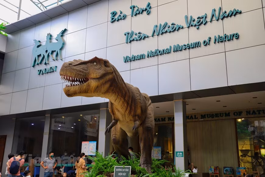 El Museo de la Naturaleza de Vietnam se ubica en la calle de Hoang Quoc Viet, del distrito de Cau Giay, Hanoi. (Fuente: Vietnam+)