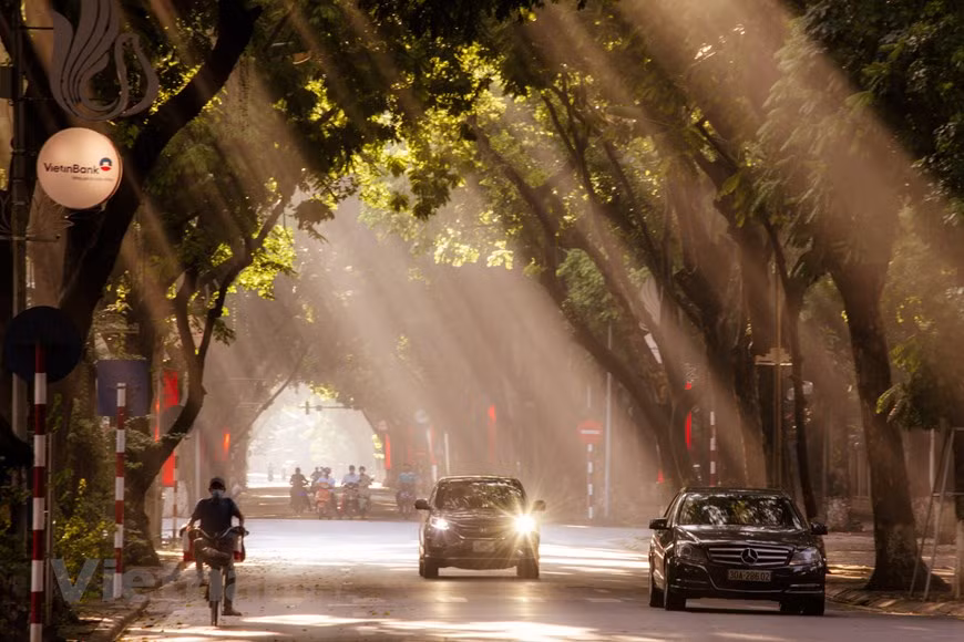 Los árboles de Sau (dracontomelon duperreanum) en la calle Phan Dinh Phung están cubiertos de hojas nuevas. El otoño también es una ocasión para que la gente use el ao dai, el traje nacional de Vietnam, en las calles para tomar fotos. Hong Trang, una local, dice: “Esta es la estación más hermosa del año. Todo, desde el clima hasta el paisaje, me da ganas de vivir más despacio y disfrutarlos. "El otoño es la única época en la que no dudo en salir a pasear por la ciudad en moto para disfrutar del clima agradable. Es un poco melancólico, cierto, pero el otoño en Hanoi es único y delicado", destacó. (Foto: Vietnam+) 