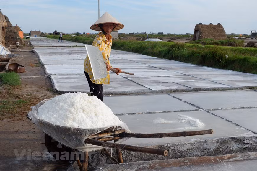 Para Luu Thi An, una mujer de 50 años, también de la aldea de Xuan Ninh, comuna de Bach Long compartió: "Si no hacemos sal, no sabemos qué más hacer. La comuna de Bach Long, desde que recuperó y estableció una aldea, abrió un campo de sal y lo dividió entre la gente. Las personas viven principalmente de la producción de sal”. Según An, a los 50 años, si quiere buscar otro trabajo, nadie lo aceptará. Su hijo y esposo trabajan lejos para obtener ingresos adicionales. Muchas personas de la comuna de Bach Long también piensan como Hai y An y están apegadas a la profesión por amor, familiaridad o por ganarse la vida. (Foto: Vietnam +) 