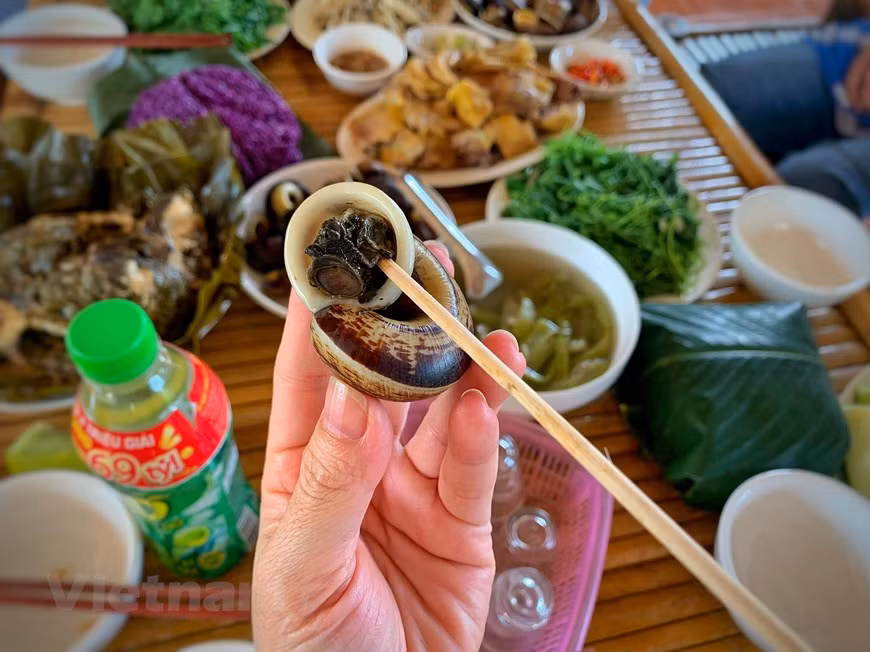 La gente local dice que esta especie de caracol es muy rara porque solo viven en cuevas, y no es hasta la temporada de lluvias que los caracoles salen a buscar comida y reproducirse. Solo aparecen al comienzo de la temporada de lluvias, cuando el bosque está húmedo (de abril a septiembre) y luego casi desaparecen. A menudo se aferran a los agujeros de las rocas en los charcos, arroyos y lentamente se aferran a las rocas a lo largo del arroyo para comer musgo. Después de las inundaciones, no solo se adhieren a los agujeros de las rocas, los caracoles son más abundantes debajo de la capa de musgo. Los caracoles de las montañas rocosas son crujientes, dulces y tienen un sabor a nuez a hierbas. (Foto: Vietnam +) 