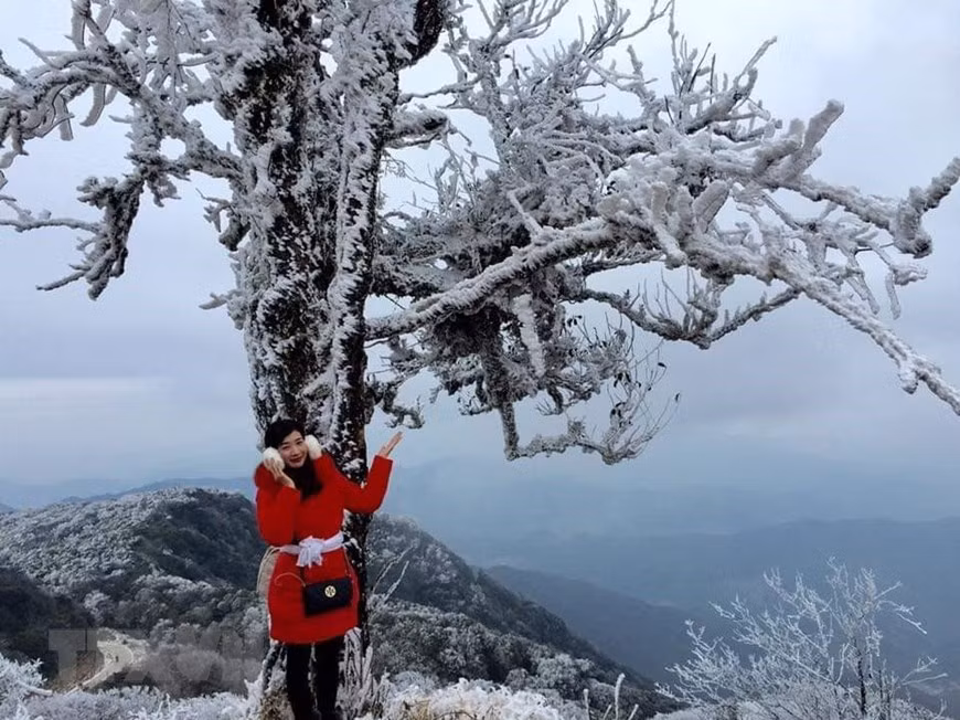 Muchas personas locales y turistas llegan aquí para contemplar la nieve. (Fuente: VNA)