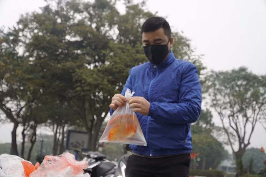 Por tan significativo acontecimiento, todos los hogares vietnamitas están ocupados preparando platos típicos y bebidas en ofrenda a esas deidades guardianas de la cocina. Se elaboran de manera cuidadosa las ofrendas, se queman ropas hechas de papel, de color rojo (símbolo de la buena suerte y la prosperidad), incluidos sombreros, mantos y calzados para rendir culto a esas divinidades (dos masculinas y una femenina), que son las que protegen a todas las familias en las cocinas de las casas. En la foto: Mucha gente todavía usa bolsas de plástico para liberar peces y luego tirarlos a ríos y lagos, contaminando fuentes de agua y áreas circundantes. (Fuente: Vietnamplus) 