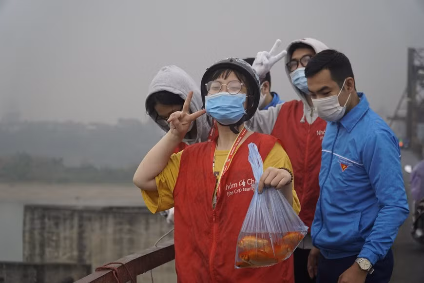 En el puente de Long Bien, muchos jóvenes voluntarios ayudaron a las personas a liberar carpas amarrillas y rojas de manera segura. Se trata de una acción significativa de los jóvenes para divulgar y mejorar la conciencia de los pobladores sobre la protección del medio ambiente. Cada fin de año, Ong Cong y Ong Tao regresan a la Tierra y a la medianoche del último día todos los problemas quedan atrás ya que los tres espíritus que los simbolizan han convencido al Emperador de Jade de que no vale la pena pasar las tristezas al nuevo calendario. Hoy día muchas familias en diferentes comunas se dedican a la cría de estos peces, para mantener el ritual y obtener a la vez beneficios. (Fuente: Vietnamplus) 