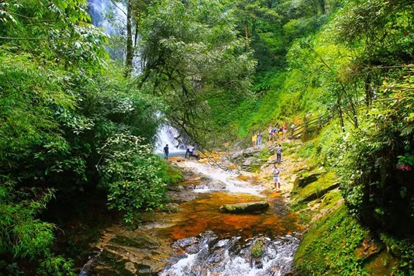 El bosque primario de Phu Quoc se encuentra en el norte de la isla de Phu Quoc. (Fuente: saigonstartravel.com)