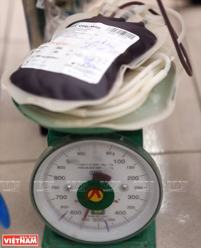 Pesaje de las bolsas de sangre. (Fuente: VNA)