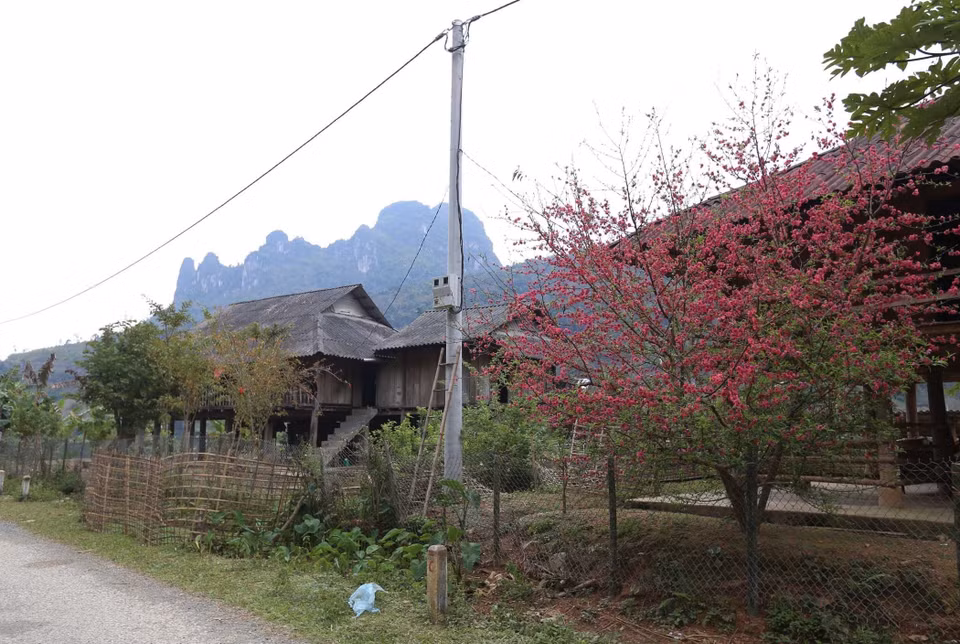 Al visitar la bahía, los visitantes pueden apreciar las casas sobre pilotes de la etnia Thai, un atractivo de la región noroeste. (Foto: VNA)