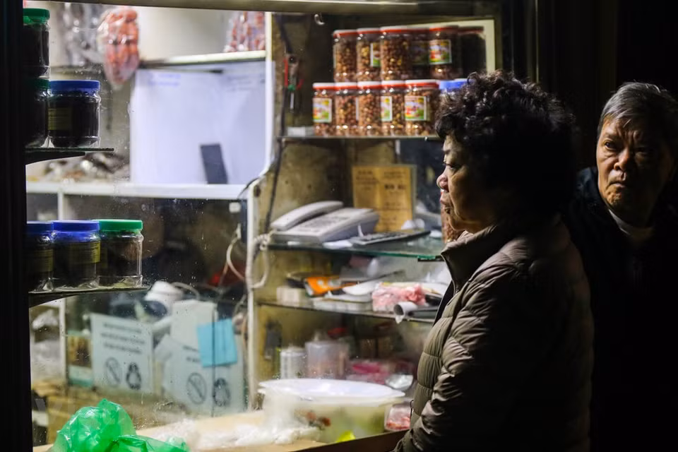 La señora Lan de la calle Bao Khanh dijo que compra Banh Chung en esta tienda todos los años porque es una marca famosa de larga data. Al esperar un gran volumen de compradores de ese pastel este año, reservó su turno en la fila desde las 5:00 de la mañana. De forma cuadrada y grueso, Banh Chung se prepara con arroz glutinoso relleno con frijoles verdes cocinados al vapor y macerados, carne de cerdo sazonada con pimienta, cebolla y otros ingredientes que se envuelven en hojas Dong (Phrynium placentarium) y se hierve a fuego lento durante horas. El color verde de esta hoja representa a las plantas, a las frutas maduras y la carne de cerdo, a los animales del planeta, mientras el arroz es sinónimo de la civilización arrocera. (Fuente: Minh Son / Vietnam +)