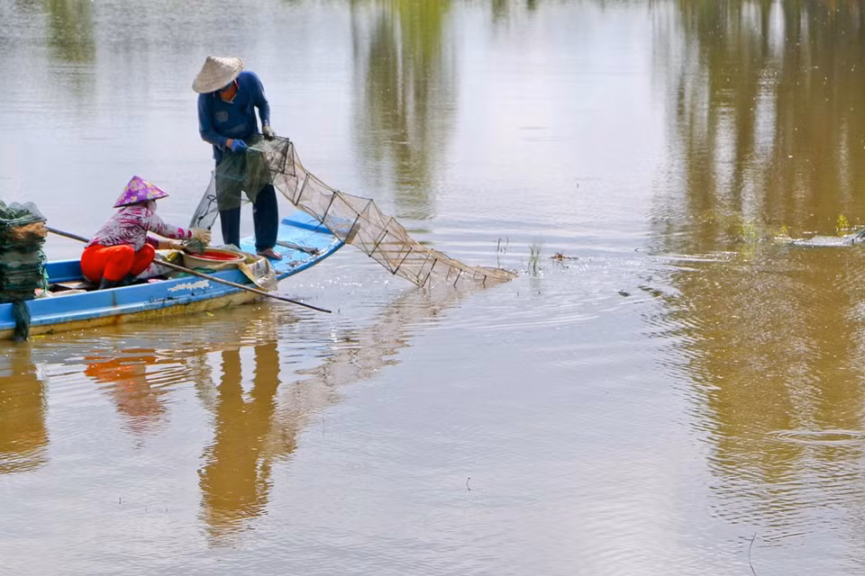 Campos arroceros inundados en el distrito de Vi Thuy (Fuente: VNA)