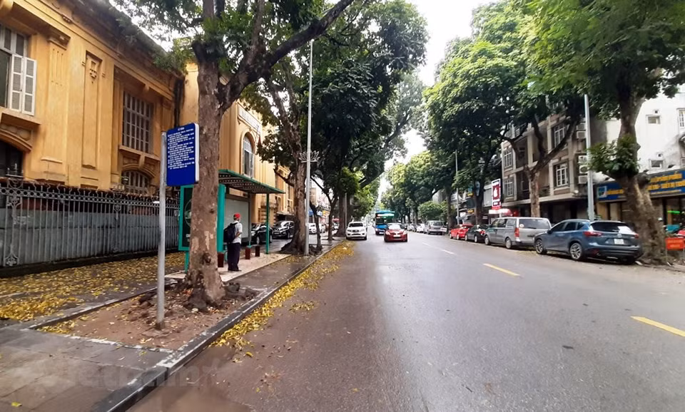 El Centro de Gestión de Calidad de Servicios, Departamento del Transporte de Hanoi, informó que todas las líneas de autobuses en la ciudad de Hanoi reanudaron sus operaciones a partir de 23 de abril, primer día luego de la finalización del distanciamiento social del 1 al 22 de abril según la Directiva número 16 del primer ministro Nguyen Xuan Phuc. Además, en cada línea se puede utilizar del 20 al 30 por ciento del total de los ómnibus y el tiempo de espera para un viaje es del 30 al 45 minutos con vista a garantizar la seguridad de la prevención contra la pandemia según las orientaciones del Comité Popular de Hanoi. (Fuente:Vietnam+)