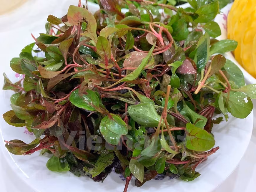 La verdolaga es una medicina, que a menudo se usa para nutrir el cuerpo. La verdolaga es una planta de pequeño tamaño pero de gran resistencia y adaptabilidad que resulta extremadamente fácil de encontrar en la naturaleza. Si bien a menudo considerada parte de la maleza, lo cierto es que tiene diversos usos y hay quien la considera un superalimento debido a su composición. Además, ya desde la antigüedad se empleaba en la cocina y se conocían algunas de sus propiedades medicinales. Esta planta es sin duda uno de los vegetales con mayor nivel de omega-3, favoreciendo el buen funcionamiento del sistema cardiovascular, ayudando a combatir el colesterol y contribuyendo a prevenir posibles problemas en dicho sistema. (Foto: Mai Mai/Vietnam +)