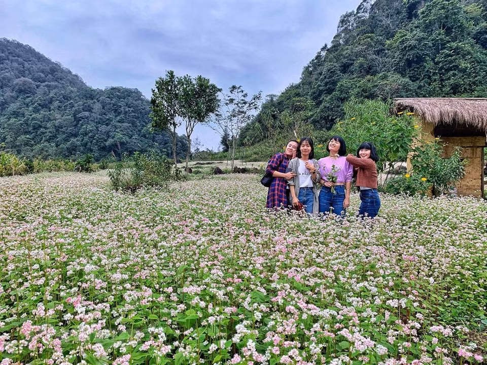 La provincia no solo tiene la majestuosa belleza de las montañas rocosas, sino que esta localidad también posee los campos de flores de alforfón románticos y extremadamente poéticos (Foto: Xuan Mai / Vetnam +)