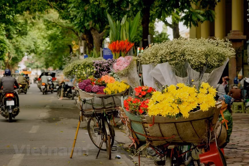 También es el momento perfecto para disfrutar de la ciudad y descubrir sus peculiaridades (Fuente: Vietnamplus)