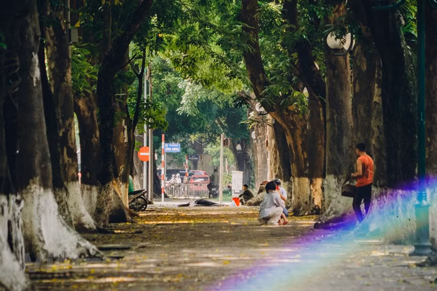 Phan Dinh Phung se considera "la calle más romántica" de Hanoi. A lo largo de él hay tres hileras de árboles y villas construidas durante la época colonial francesa. También alberga la Ciudadela Imperial de Thang Long, reconocida como patrimonio de la humanidad por la UNESCO en 2010. Puede pasear por calles como Phan Dinh Phung y Hoang Dieu en el distrito de Ba Dinh, que son famosas por sus hileras de árboles gigantes y mucho menos tráfico. En muchas calles de Hanoi se han plantado muchos tipos nuevos de árboles, como co dau (palma aceitera) y phong la do (arce rojo). (Foto: Vietnam+)