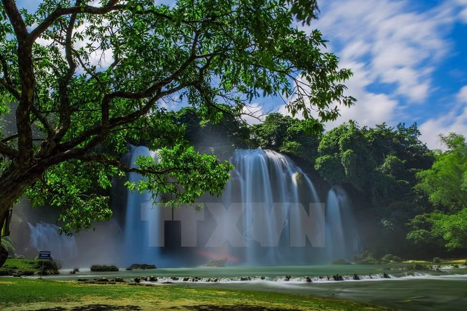 Fuente:VNA