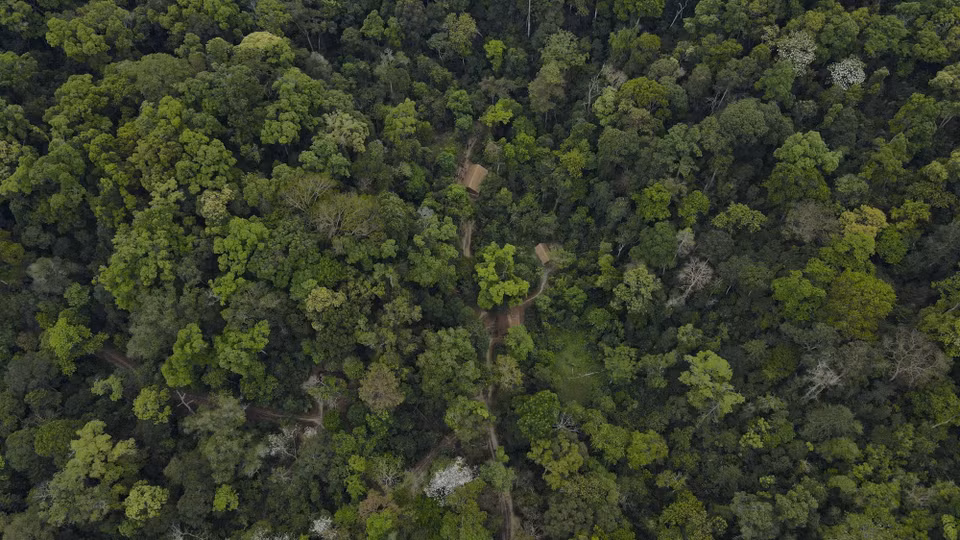 El cuartel general del Comando de Campaña de Dien Bien Phu está ubicado en el antiguo bosque de la comuna de Muong Phang, de la provincia de Dien Bien. Foto: VNA