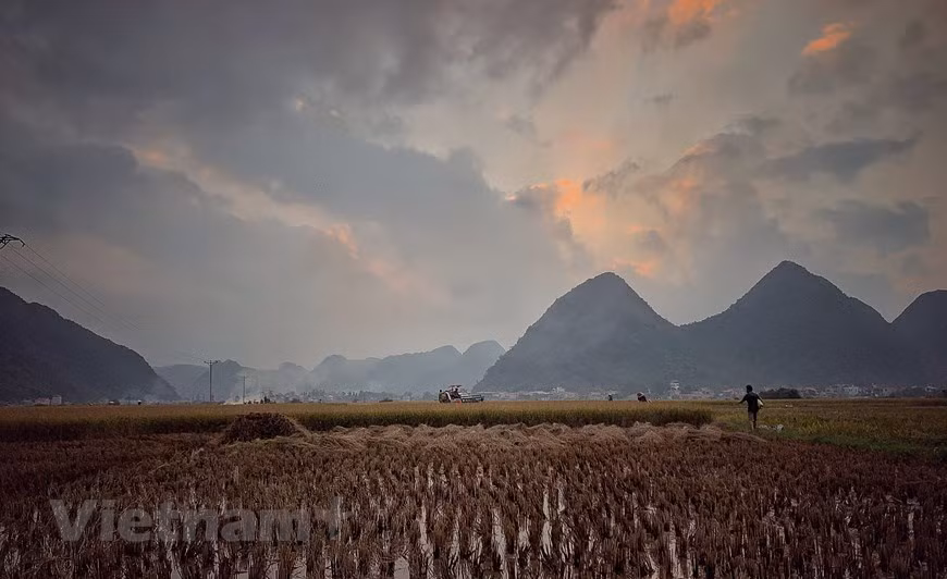 La puesta de sol cae gradualmente sobre los campos de arroz de las tierras altas de la provincia de Lai Chau. La niebla de la tarde crea una apacible escena campestre. (Foto: VNA)