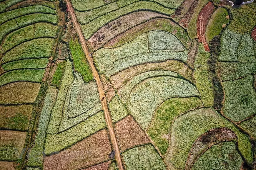 La vida pacífica de los pobladores de la aldea de So Luon, comuna de Muong Sang, y el hermoso paisaje del lugar visto como una pintura desde lo alto (Foto: Vietnam+)