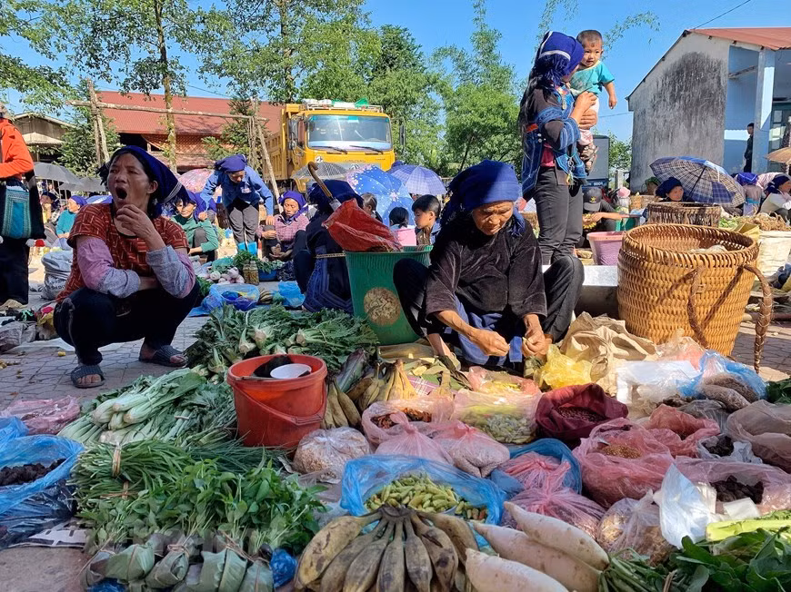 El mercado rural de Y Ty en el distrito de Bat Xat, de la provincia norteña vietnamita de Lao Cai, se abre todos los sábados temprano en la mañana cuando la zona montañosa aún está cubierta de niebla intensa. Es un sitio favorito para reunirse, vender y comprar los productos locales de los habitantes de los grupos étnicos Ha Nhi, Dao Rojo, Day y Mong, que viven en esta localidad. Los pobladores locales suelen vender los productos cultivados por ellos mismos en el mercado de Y Ty. Son principalmente verduras y frutas de los Ha Nhi que habitan en los pueblos cercanos al mercado. (Foto: Vietnam+)