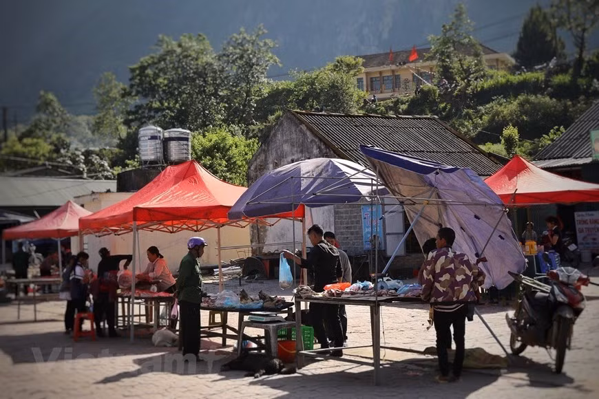 Al llegar al mercado de Y Ty, los visitantes tendrán la oportunidad de explorar la cultura única de la gente local de Ha Nhi. Es uno de los 54 grupos étnicos de Vietnam. Esa comunidad minoritaria tiene una población de aproximadamente 22 mil habitantes en el país. La mayor parte de los pobladores de esta minoría vive en las provincias de Lao Cai, Lai Chau y Dien Bien, tres provincias fronterizas montañosas en el norte del país. Además de cultivar arroz en campos en terrazas para la autoabastecimiento, los residentes locales también cultivan algodón y tejen telas para hacer los trajes tradicionales de su grupo étnico. (Foto: Vietnam+)