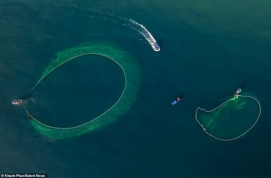 Hay días en los que pescan a solo a un kilómetro de la costa y una profundidad de unos 10 metros, pero también hay días en los que pescan más lejos mar adentro. (Fuente: DailyMail)