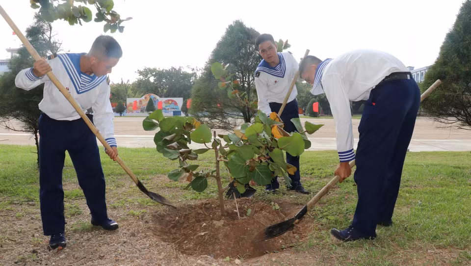 Los soldados cultivan el árbol Barringtonia asiática en la isla. (Foto: VNA)