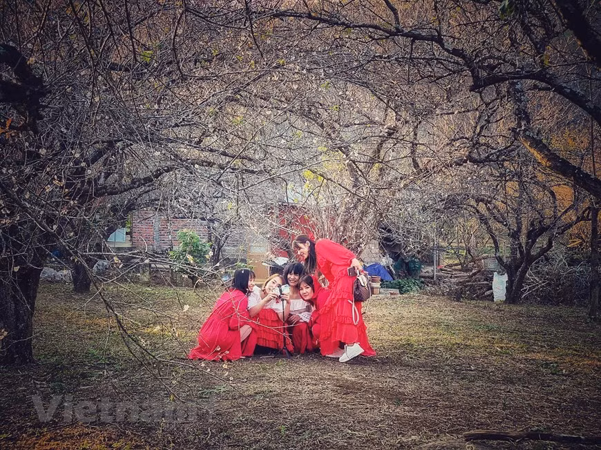 Un grupo de amigas procedentes de la provincia de Quang Ninh toman fotos de las flores. (Fuente: VNA)