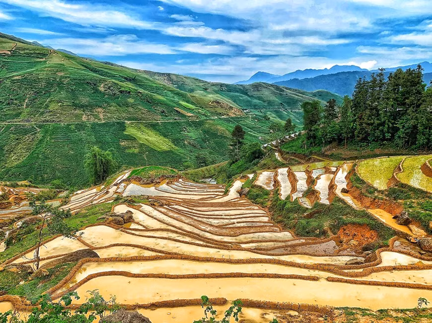 Y Ty está a 70 kilómetros de la ciudad de Lao Cai. Los meses de mayo y junio constituyen la mejor temporada para contemplar los bancales de arroz. (Foto: VNA)