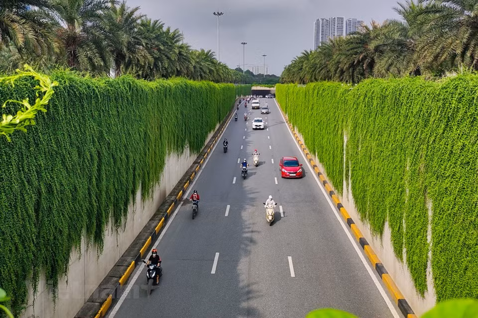 El Comité Popular de Hanoi aprobó recientemente el proyecto de "Bicicleta Urbana" del Departamento de Transporte municipal en dos fases. En consecuencia, se espera que en la primera fase la unidad ejecutora del proyecto pondrá en funcionamiento mil bicicletas, de las cuales 500 serán mecánicas y 500 eléctricas. El plan se implementará en los distritos de Hoan Kiem, Dong Da, Thanh Xuan, Hai Ba Trung, Ba Dinh y Tay Ho con alrededor de 85 ubicaciones y cada una con hasta 15 unidades. Se trata de uno de los planes para desarrollar el transporte verde en Hanoi mediante la formación de un sistema de alquiler de bicicletas con precios económicos, lo cual responderá las necesidades de viajes cortos de las personas y fortalecerá las conexiones entre las áreas urbanas con un sistema de transporte público. (Fuente:Vietnamplus)