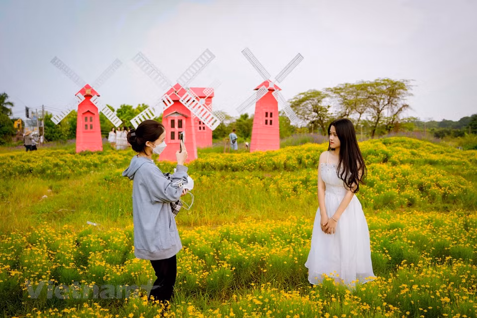 Muchas familias llevan a sus hijos al jardín de crisantemos meteoritos de Truong The Hung para guardar hermosos recuerdos. Ha Thi Hai Yen, habitante del distrito de Hoang Mai, ciudad de Hanoi, dijo que esta es la primera vez que su familia viene a este hermoso campo floral. El lugar resulta muy adecuado para las familias, allí los niños pueden acercarse a la naturaleza los fines de semana, estudiarla, aprender de ella, así como sentirse contentos por divertirse con las ovejas que andan buscando alimentos, o tal vez solo relajarse en ese ambiente. Se puede decir que el jardín de crisantemos meteoritos crea una escena romántica como el cielo de Europa en el corazón de la ciudad de Hanoi. (Fuente:Vietnamplus)