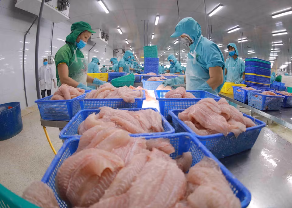 Procesamiento de filetes de pescado Tra (pangasius) para la exportación en la provincia de Dong Thap. (Foto: VNA)