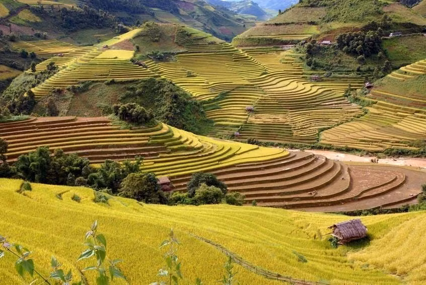 Los campos que se extienden hasta el horizonte aparecen en medio de paisajes naturales idílicos, junto con el fragante aroma de arroz en los nuevos valles que hacen de este lugar un destino ideal para vacacionistas. (Fuente: VNA)