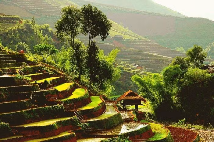 Los campos que se extienden hasta el horizonte aparecen en medio de paisajes naturales idílicos, junto con el fragante aroma de arroz en los nuevos valles que hacen de este lugar un destino ideal para vacacionistas. (Fuente: VNA)