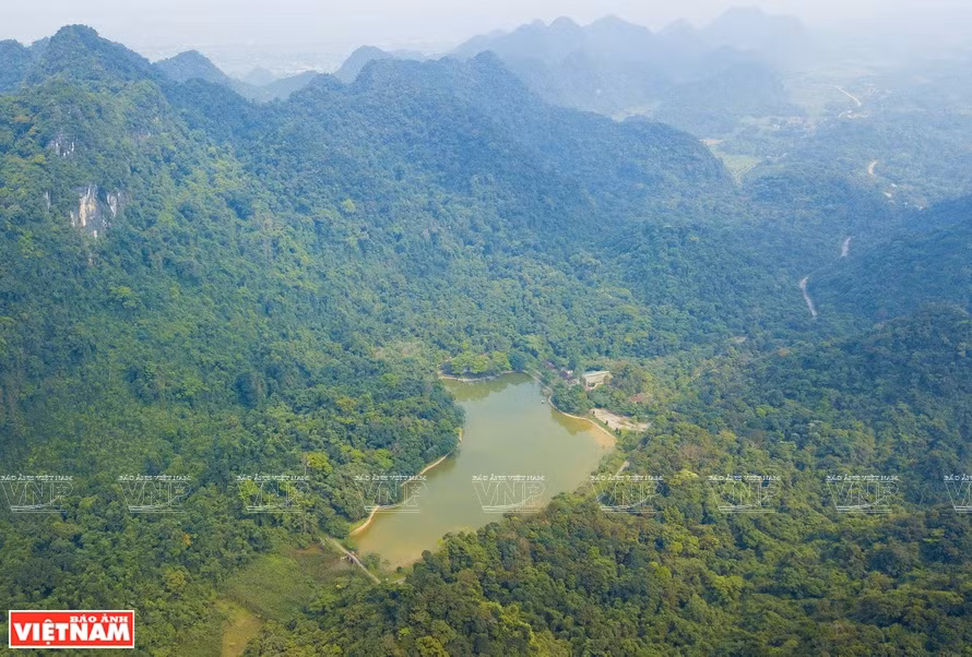Cuc Phuong es el primer parque nacional de Vietnam, establecido en 1962 a 120 kilómetros de Hanoi, en el territorio de tres provincias: Ninh Binh, Hoa Binh y Thanh Hoa. (Fuente: VNA)