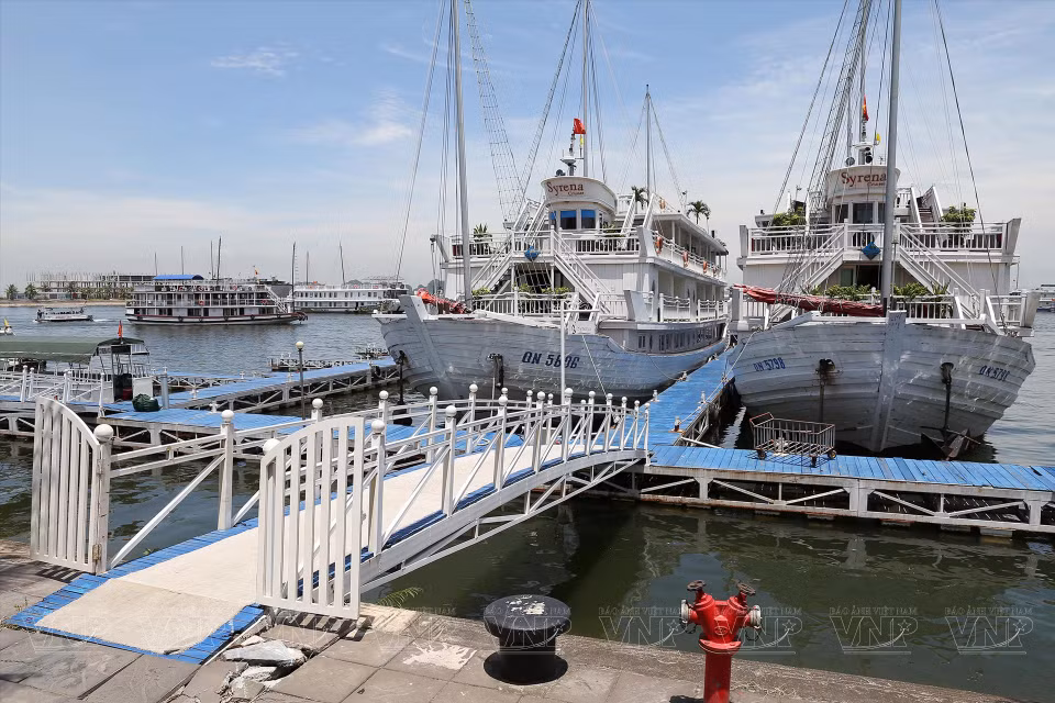 Los barcos en Tuan Chau Marina, el puerto artificial más grande de Vietnam. (Foto: VNP/VNA)