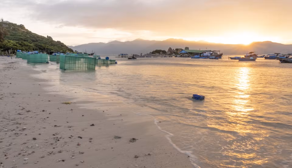 El 85 por ciento de los hogares de residentes en la isla de Binh Ba se dedican a la cría de langostas en el mar (Foto: VNA)